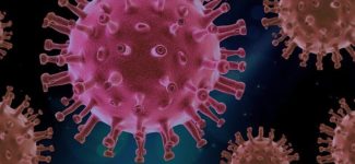 Coronavirus Update 4-9-2020